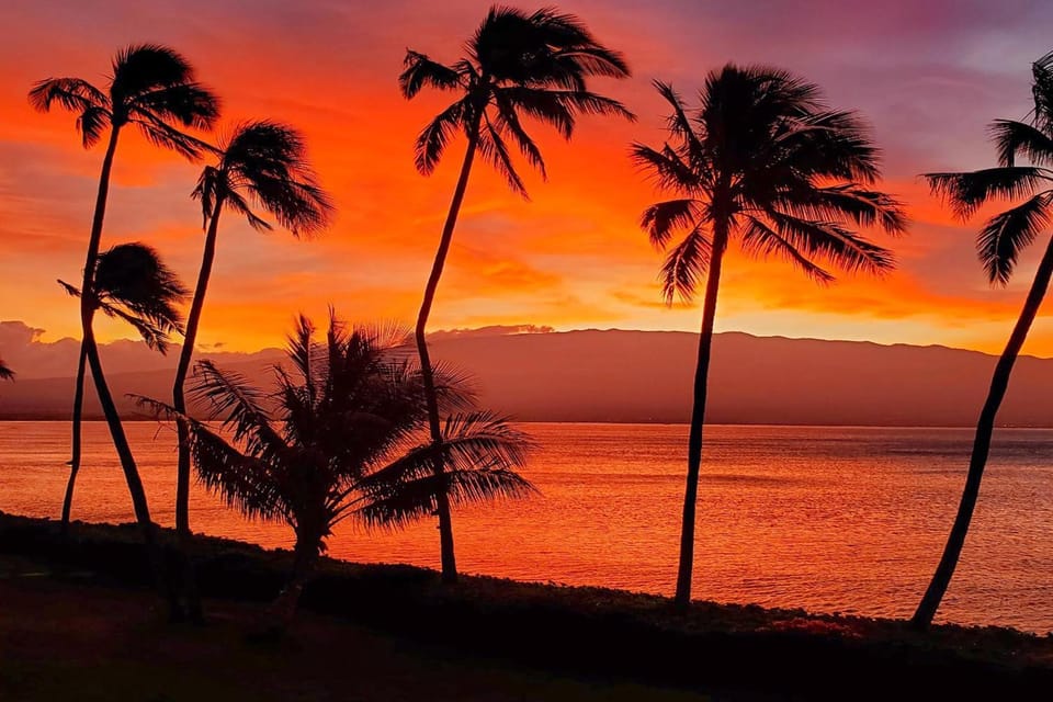 Lauloa 410 - Top Floor, Direct Ocean Front, Stunning Renovation, Wi-Fi, Split AC House in Maalaea