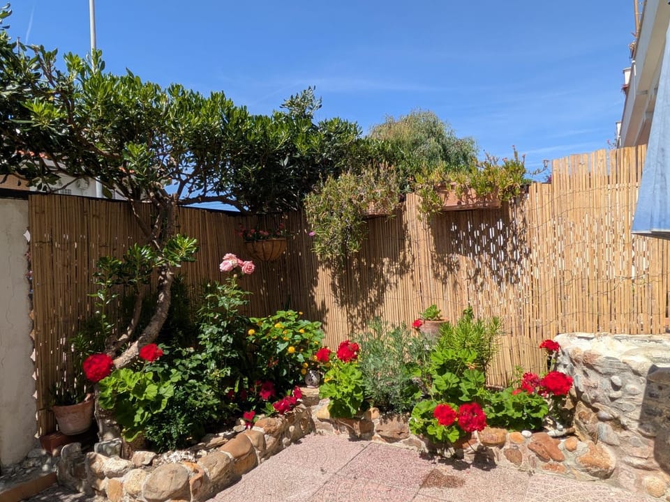 Garden view