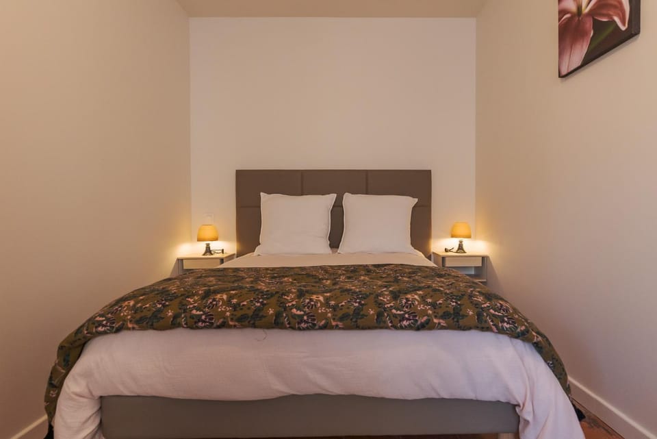 La PARERIE Apartment in Carcassonne
