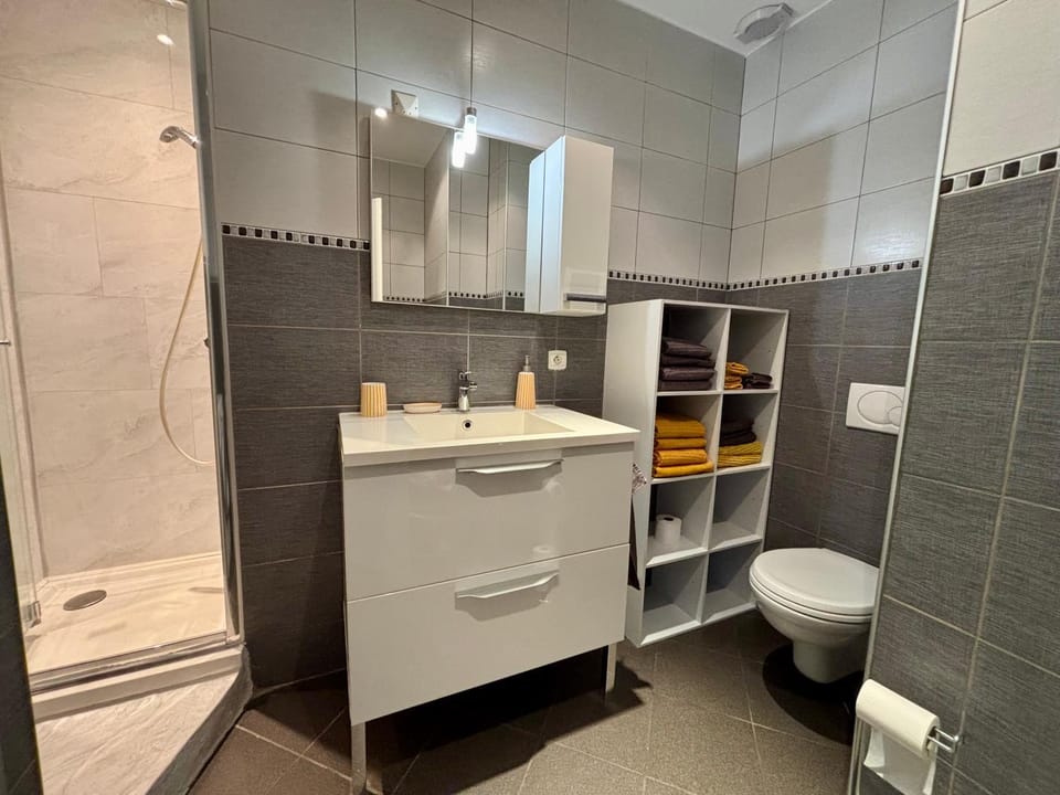Shower, Toilet, Bathroom, towels