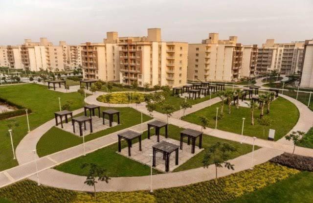 Garden, City view