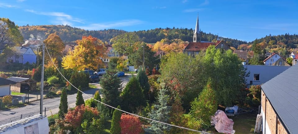 Neighbourhood, Natural landscape, City view, Garden view, Mountain view, Street view, Quiet street view