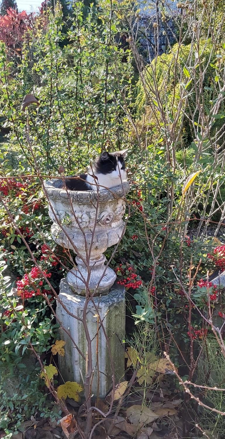 Garden, Garden view