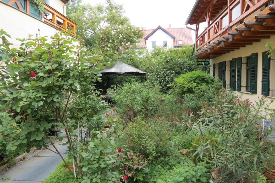 Garden, Garden view, Garden view