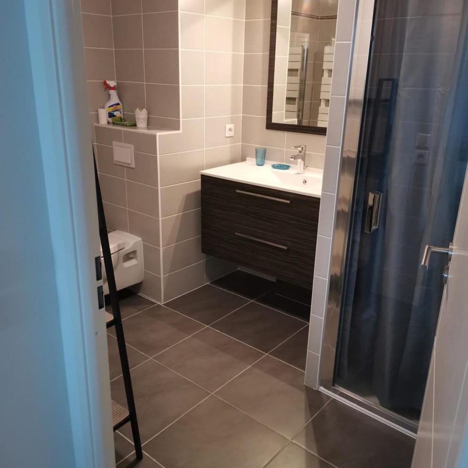 luxury F2 swimming pool ponds and sea Apartment in Palavas-les-Flots