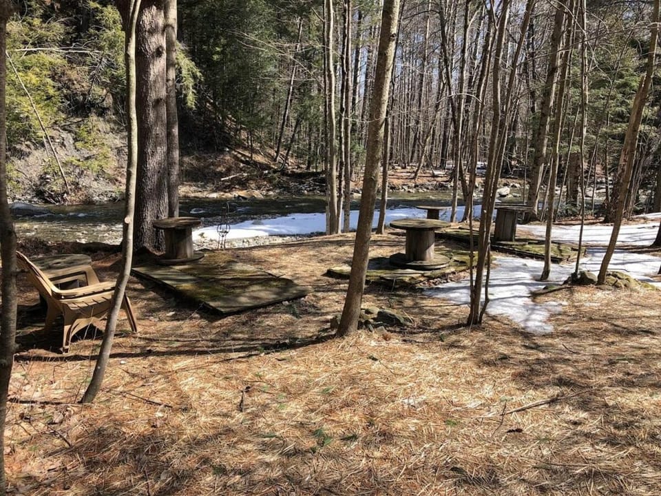 Natural landscape, River view