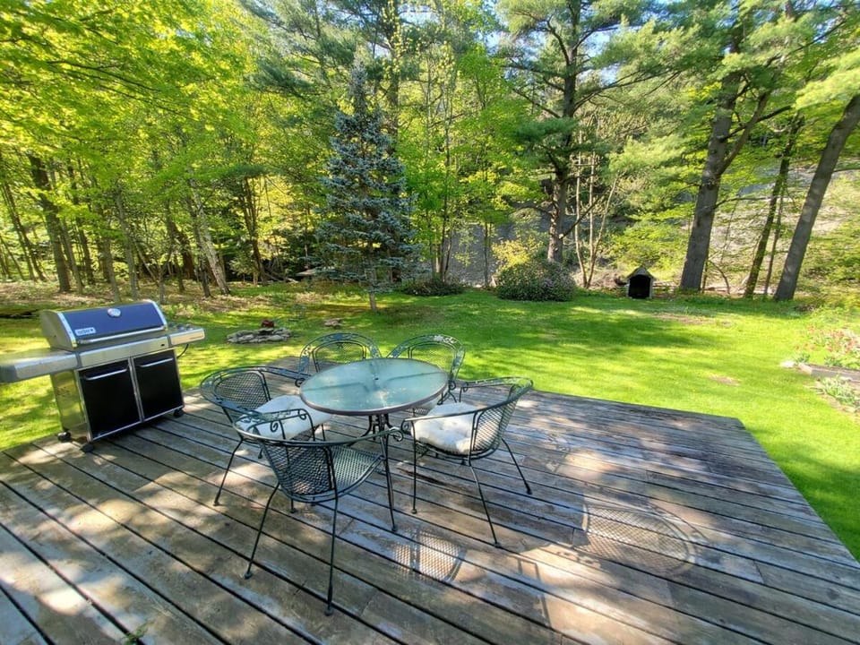 Patio, Natural landscape, Dining area, Garden view