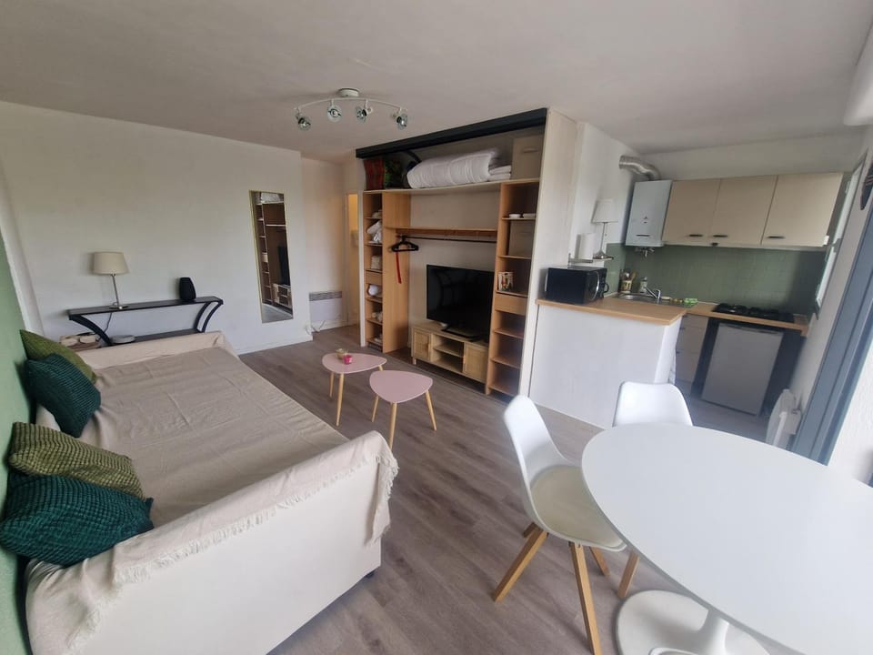 TypeT1 Spacieux à 300m du port et 6min de la plage Apartment in La Grande-Motte