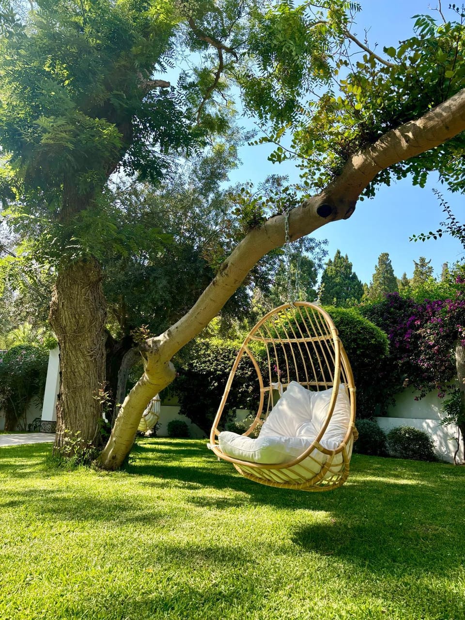 Olivia sidibou Bed and Breakfast in Tunis Governorate, Tunisia