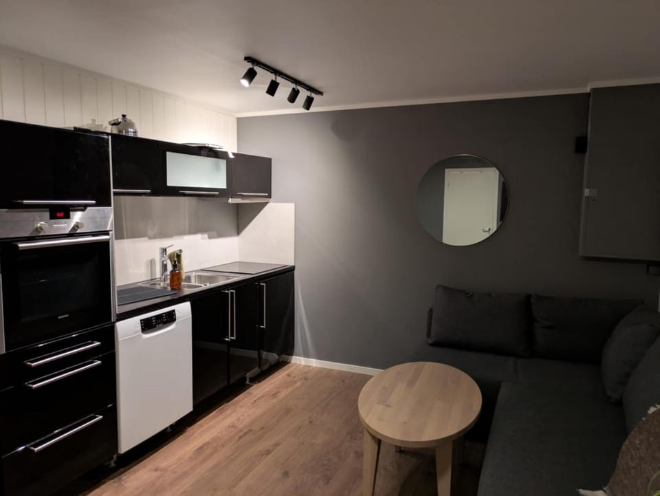 Kitchen or kitchenette, Living room, Seating area, oven, stove, toaster