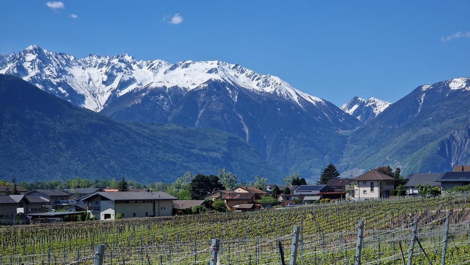 BeauLieu Apartment in Canton of Valais