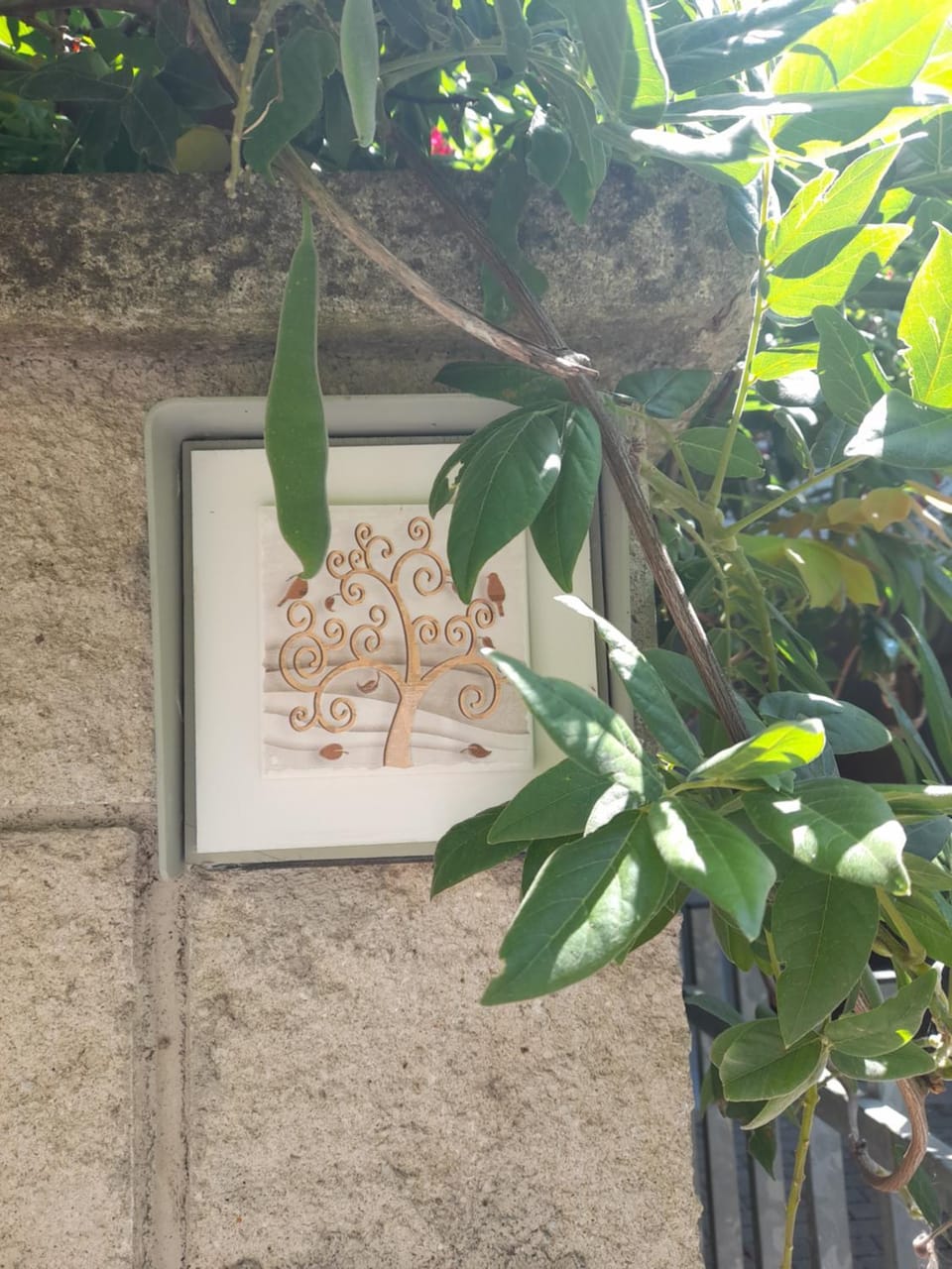 Casa dei glicini Bed and Breakfast in Follonica
