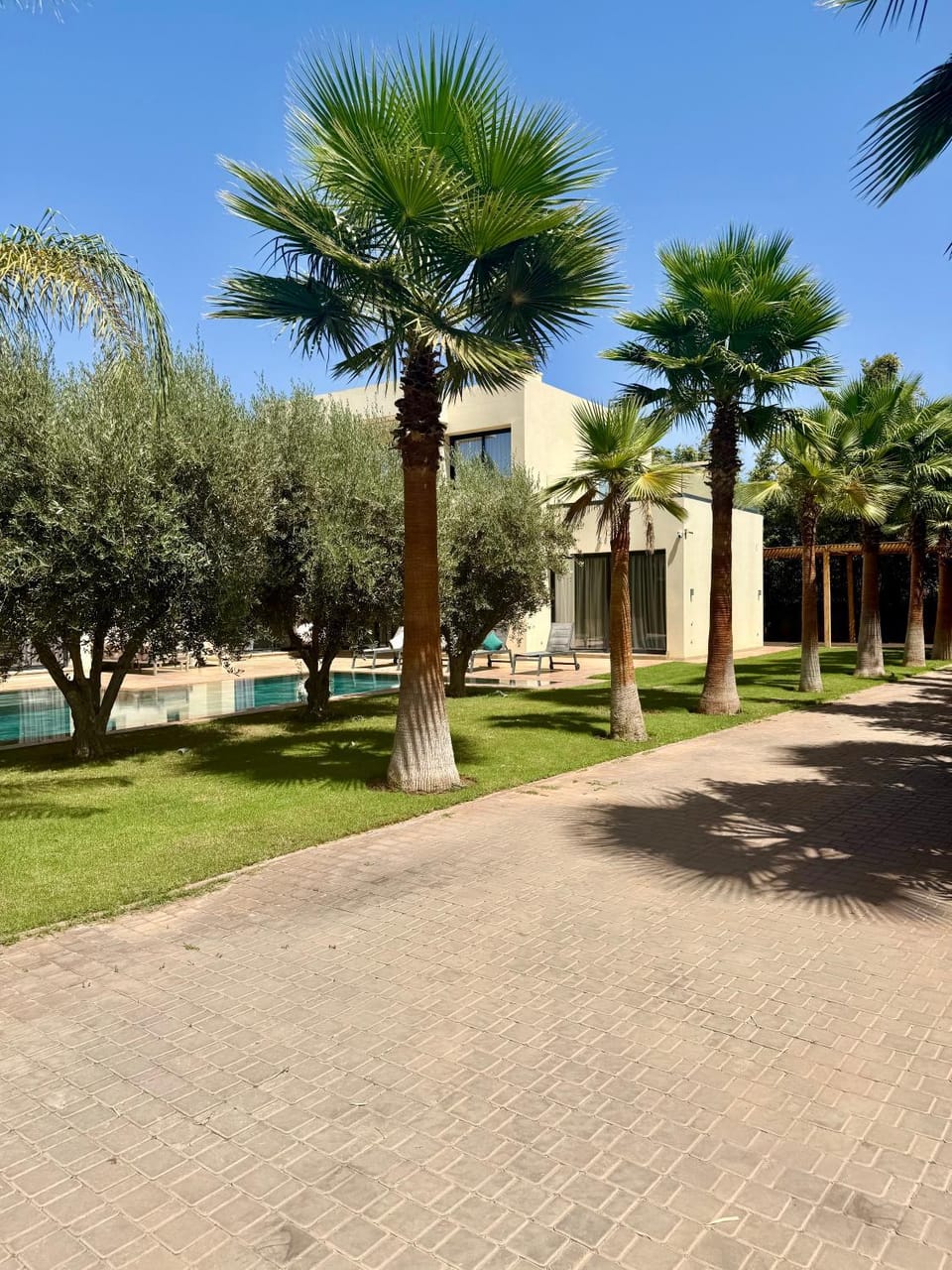 Day, Garden, Garden view