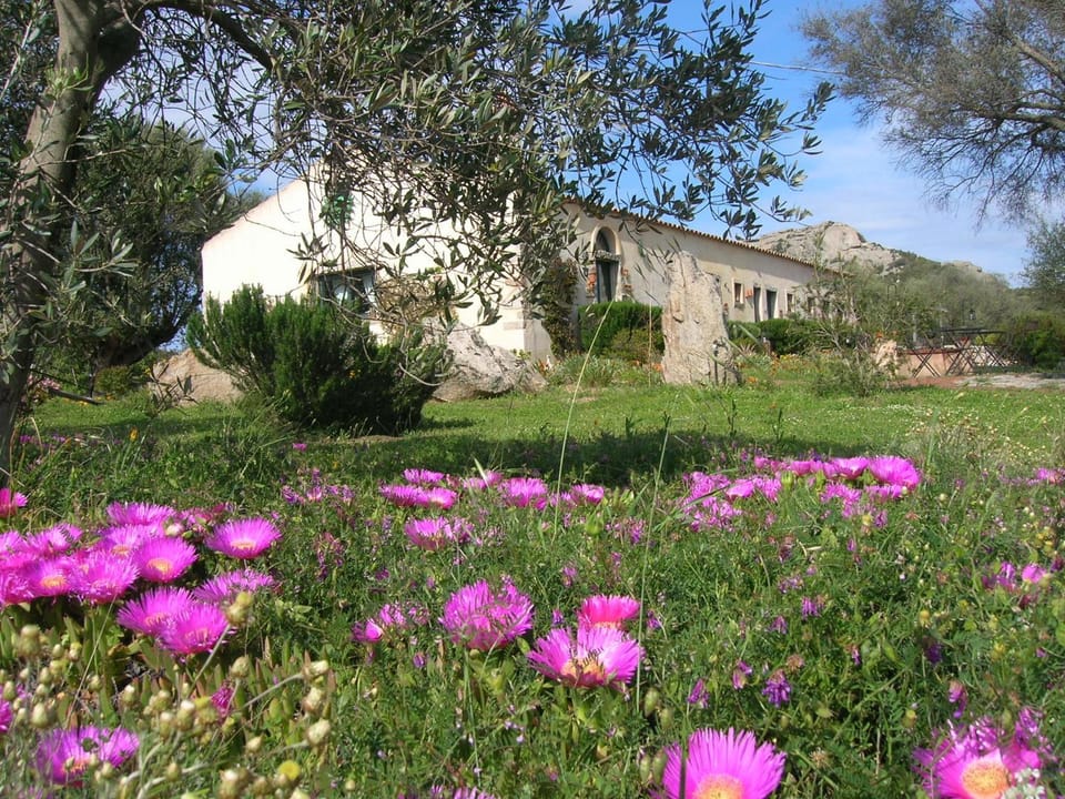 La MeSenda Rooms & Apartments Farm Stay in Sardinia