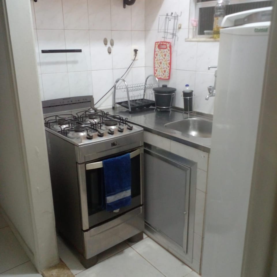 Kitchen or kitchenette, minibar, oven