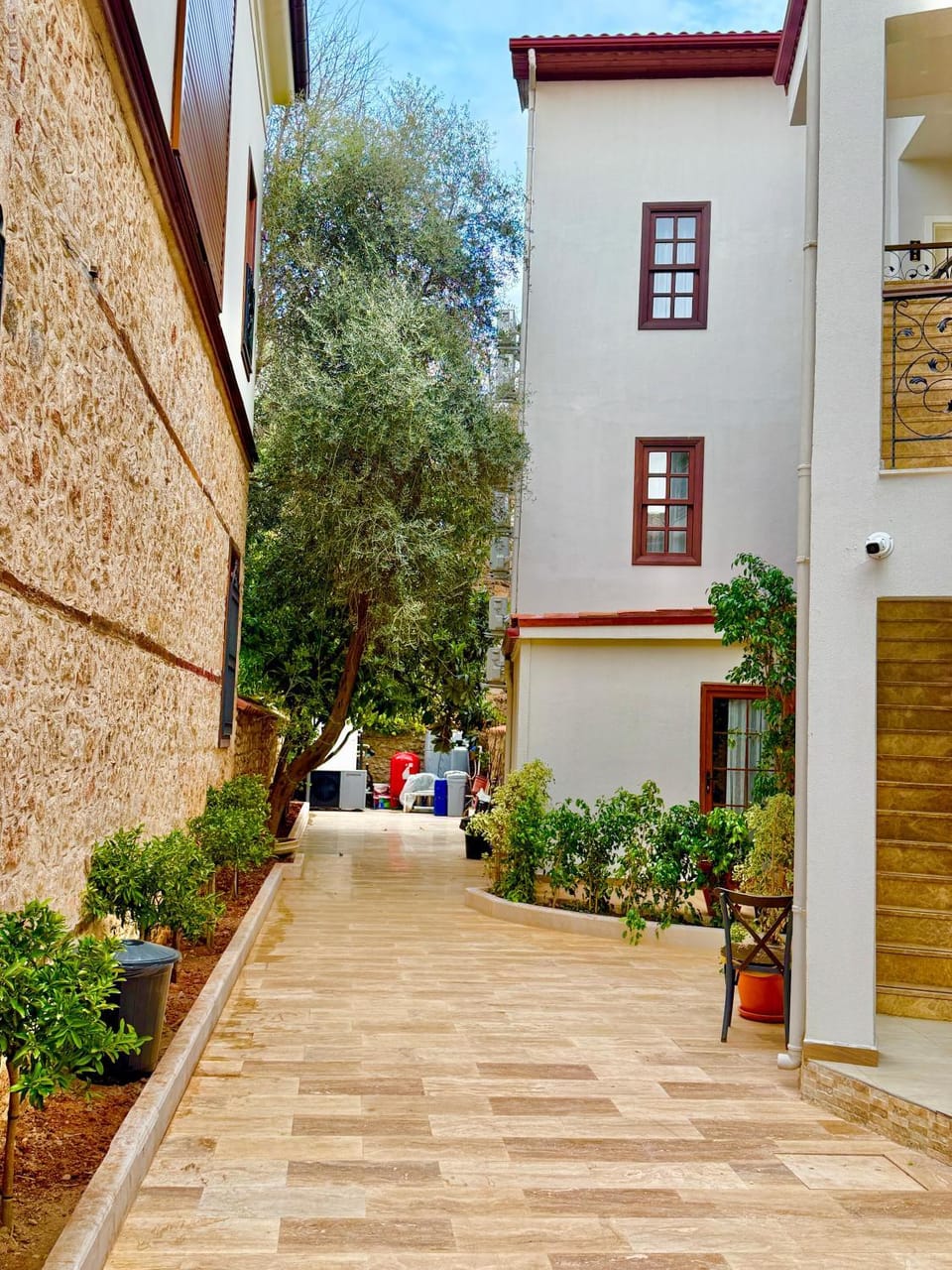 Day, Garden, Garden view