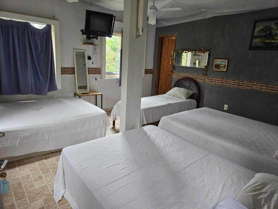 Recanto das aguias Nature lodge in Rio de Janeiro