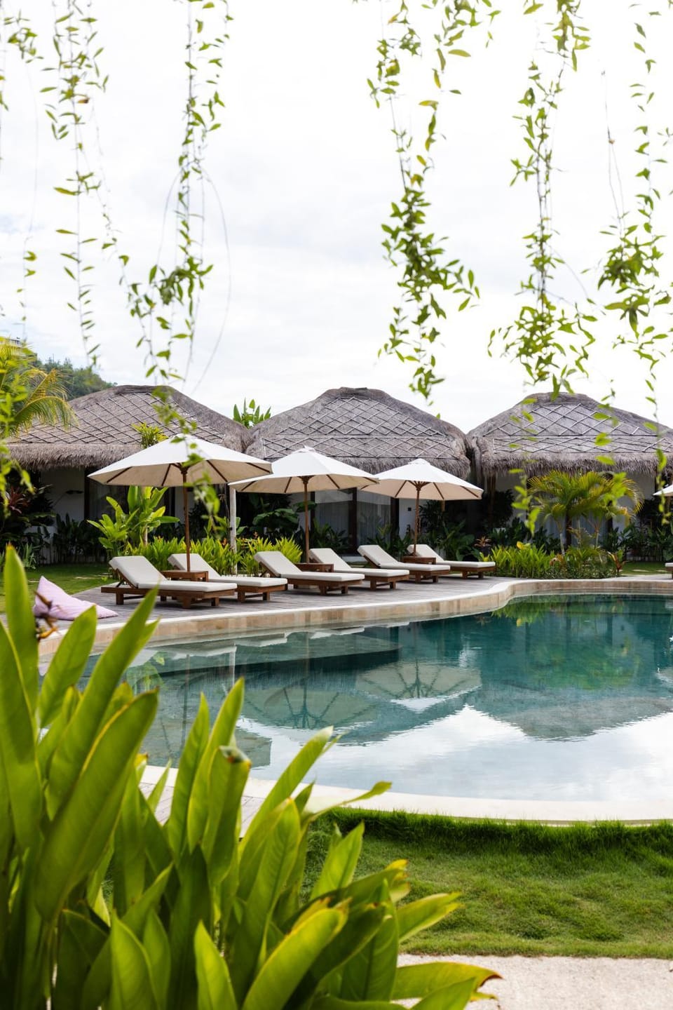 Garden view, Pool view, Swimming pool