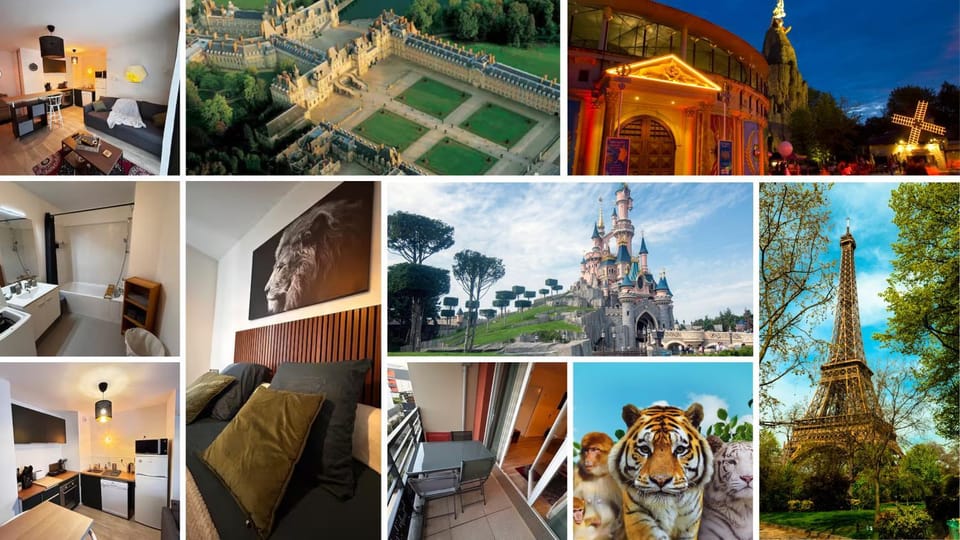 Activities, Bird's eye view, View (from property/room)