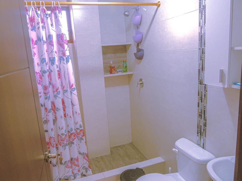 Shower, Toilet, Bathroom, bidet