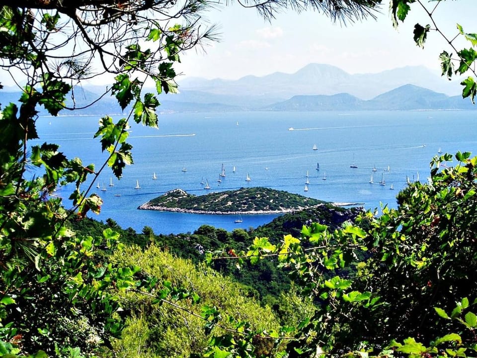 Ivana - Friends & Family ap for 6 guests Apartment in Dubrovnik-Neretva County