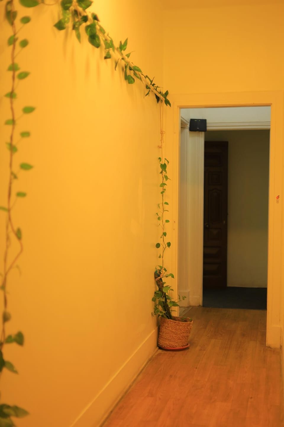 غرفة مثالية في قلب القاهرة Bed and Breakfast in Cairo