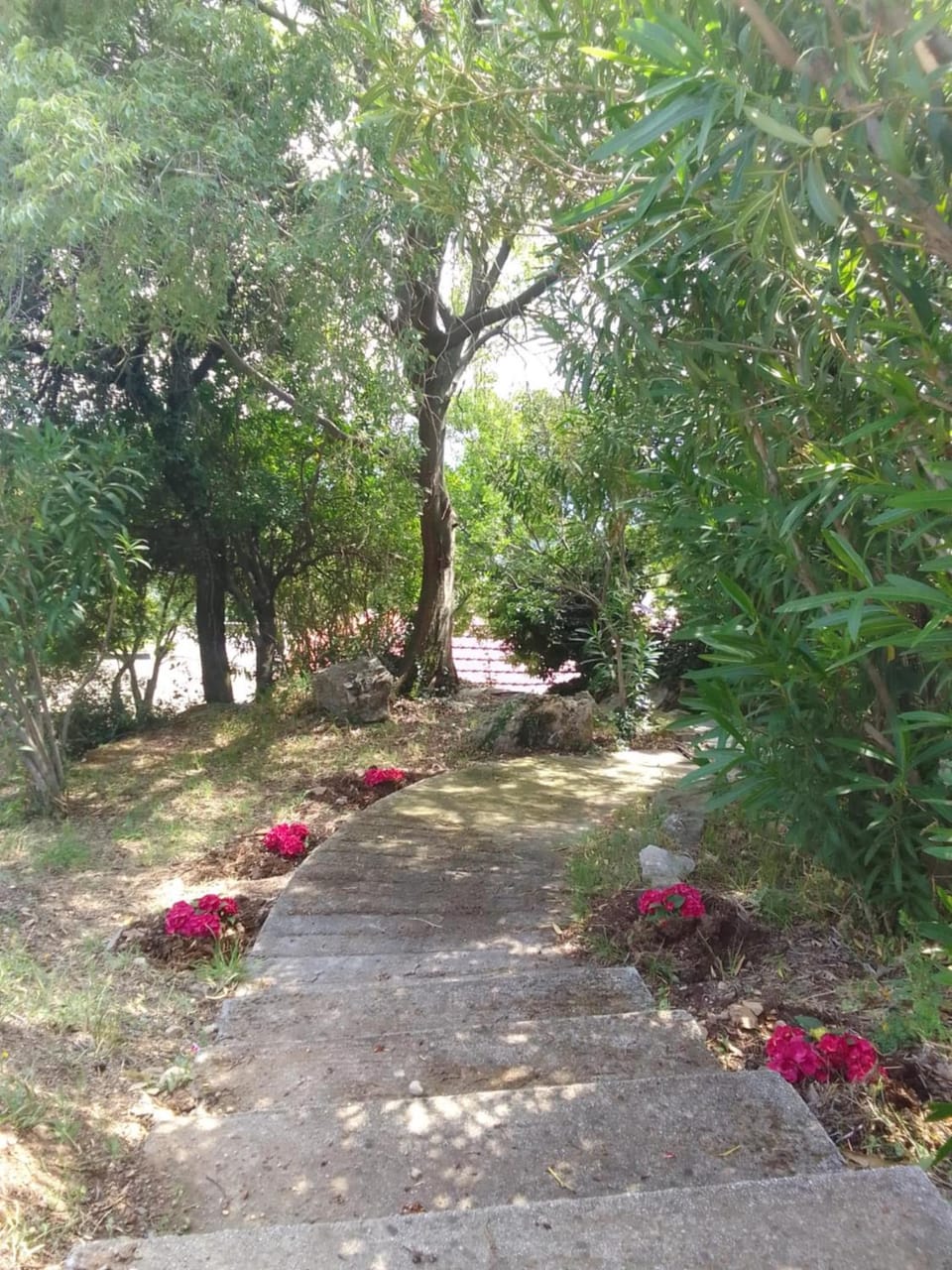 Spring, Day, Natural landscape, Garden, Garden view