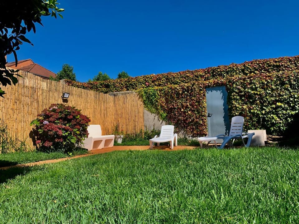 Garden, Garden view, sunbed