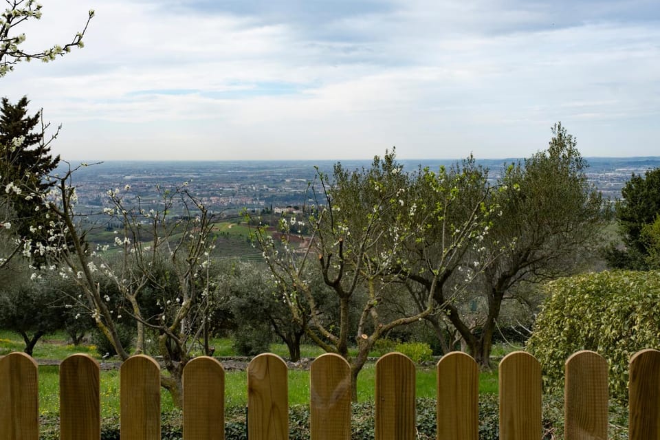 Natural landscape