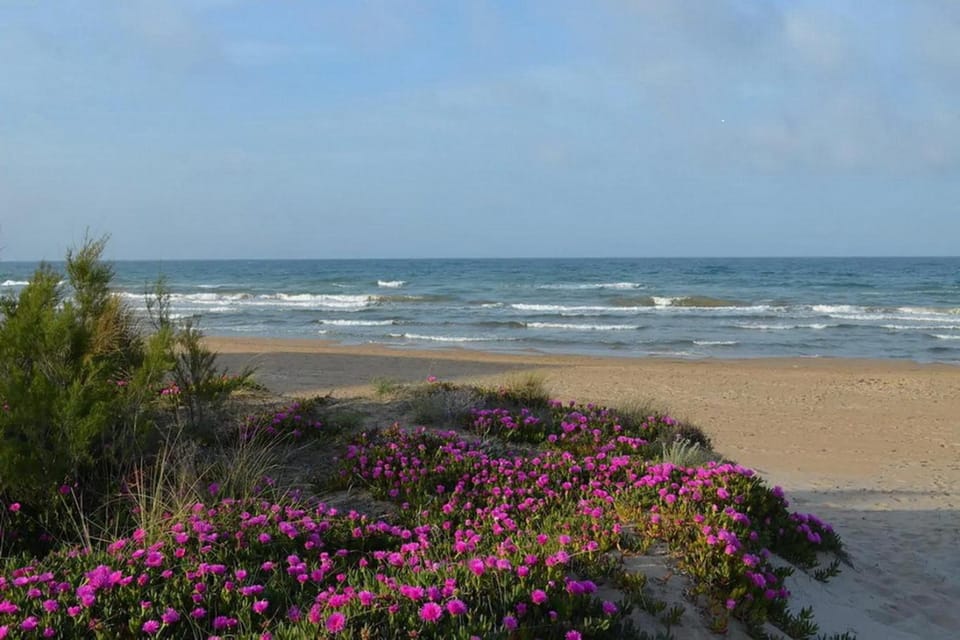 Natural landscape, Beach, Hiking, Sea view