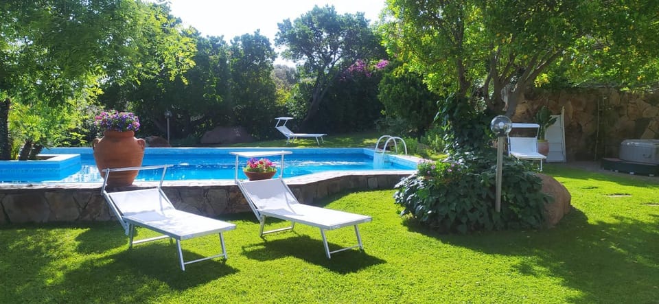 Spring, Garden, Garden view, Pool view, Swimming pool, sunbed