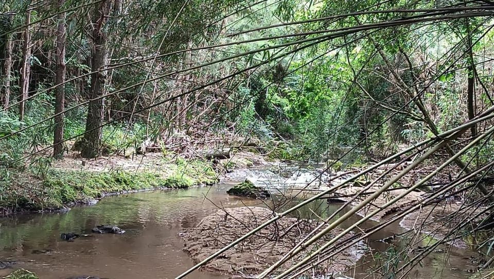 River view