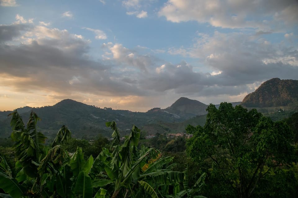 Mountain view