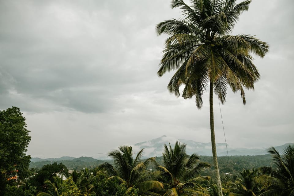 Sonora Bed and Breakfast in Kandy