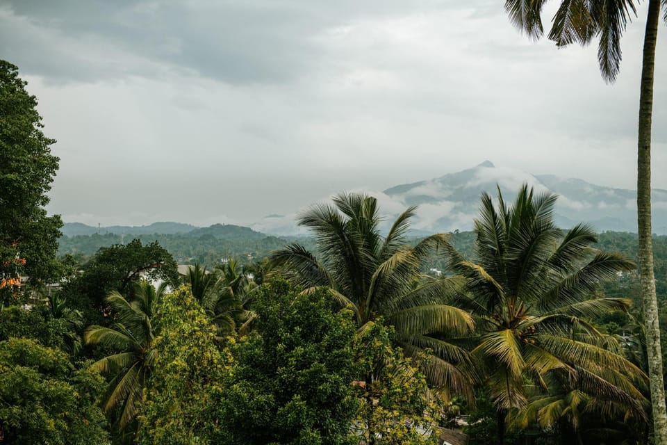 Sonora Bed and Breakfast in Kandy