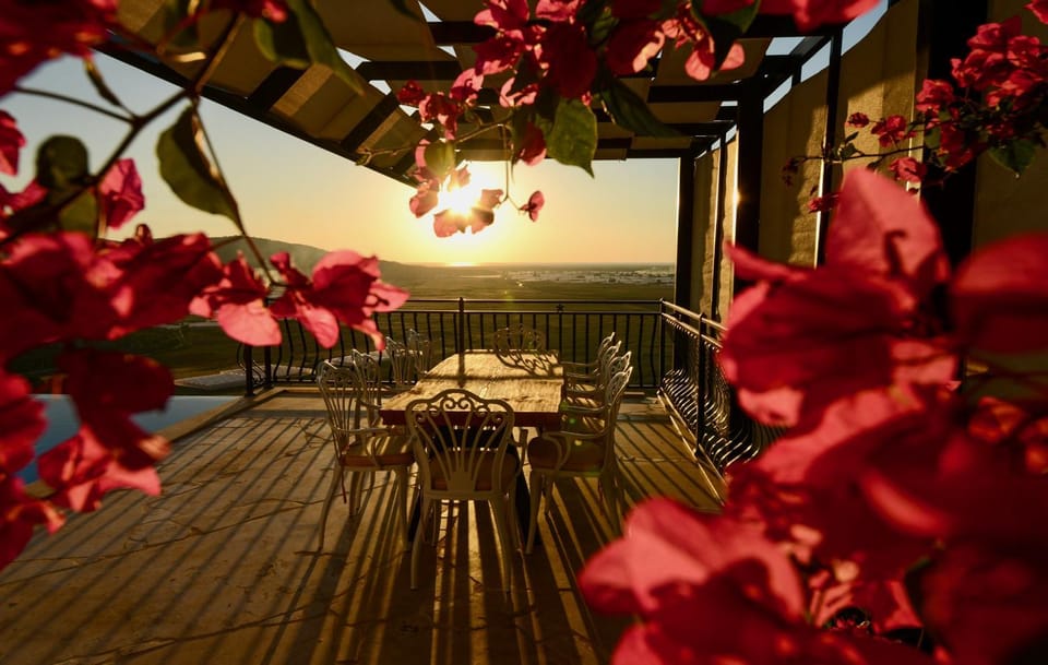 Garden, Balcony/Terrace, Dining area
