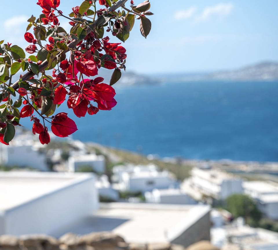 Amelie Suites Mykonos Apartment in Mykonos, Mikonos 846 00, Greece