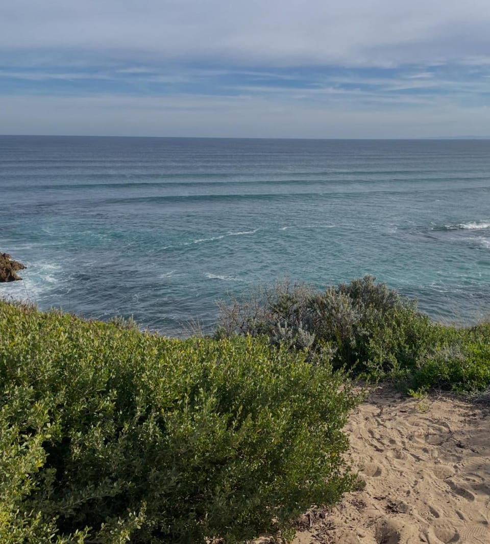 Coastal Retreat in Rosebud ! House in Rosebud