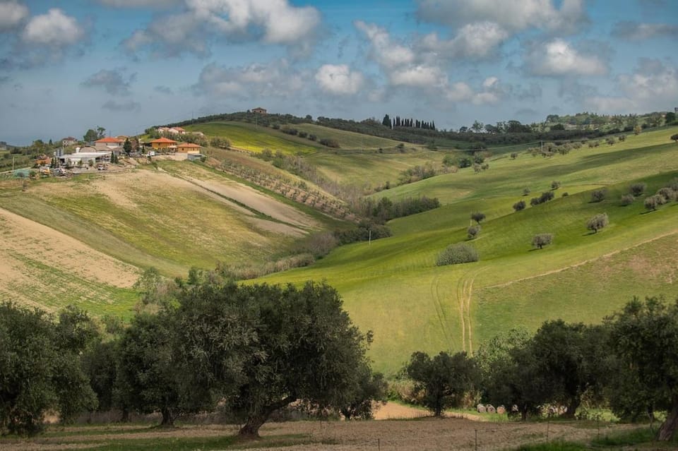 Natural landscape
