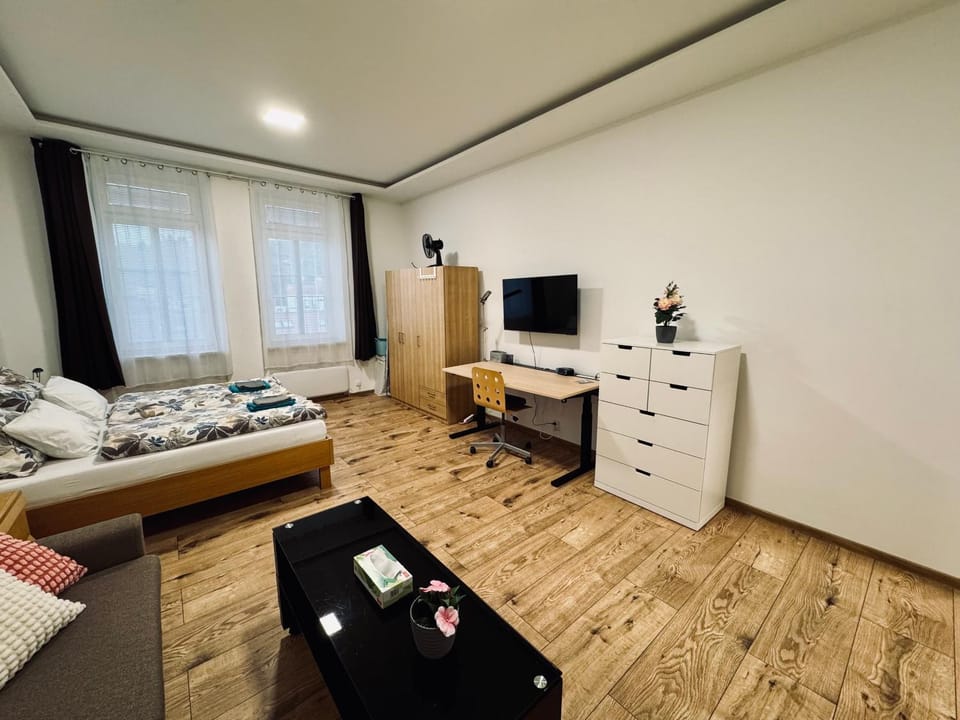 Apartment with Workspace and TV Apartment in Brno