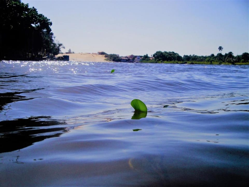 Day, Natural landscape, River view