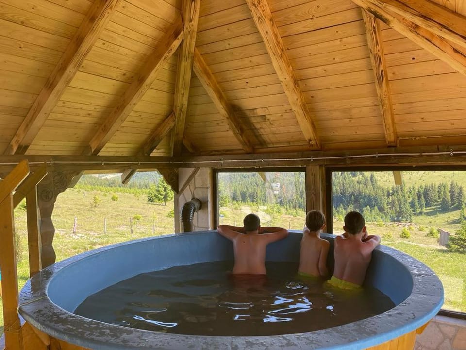 Panoramic Holiday Home Belis House in Cluj County
