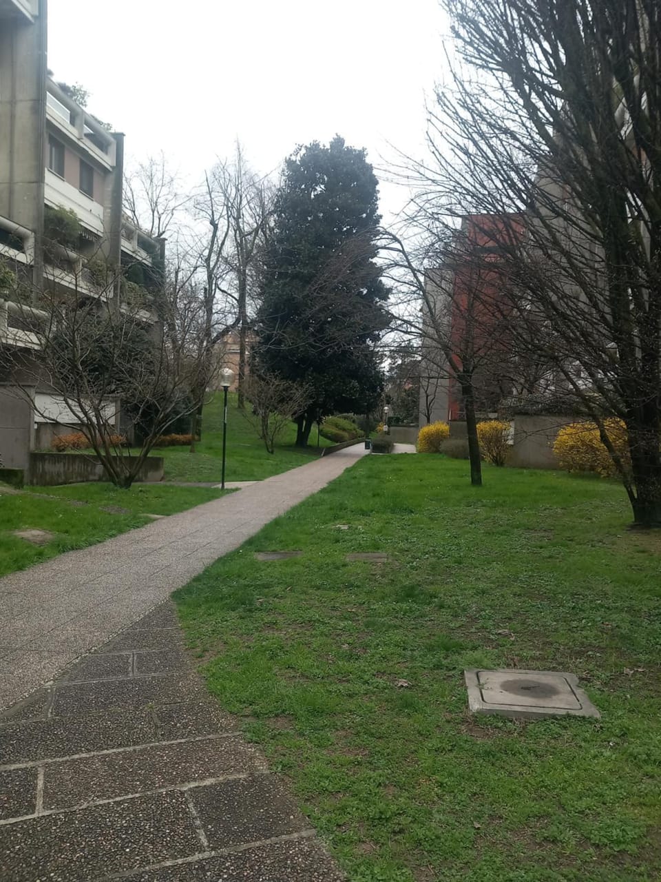 Property building, Natural landscape, Garden