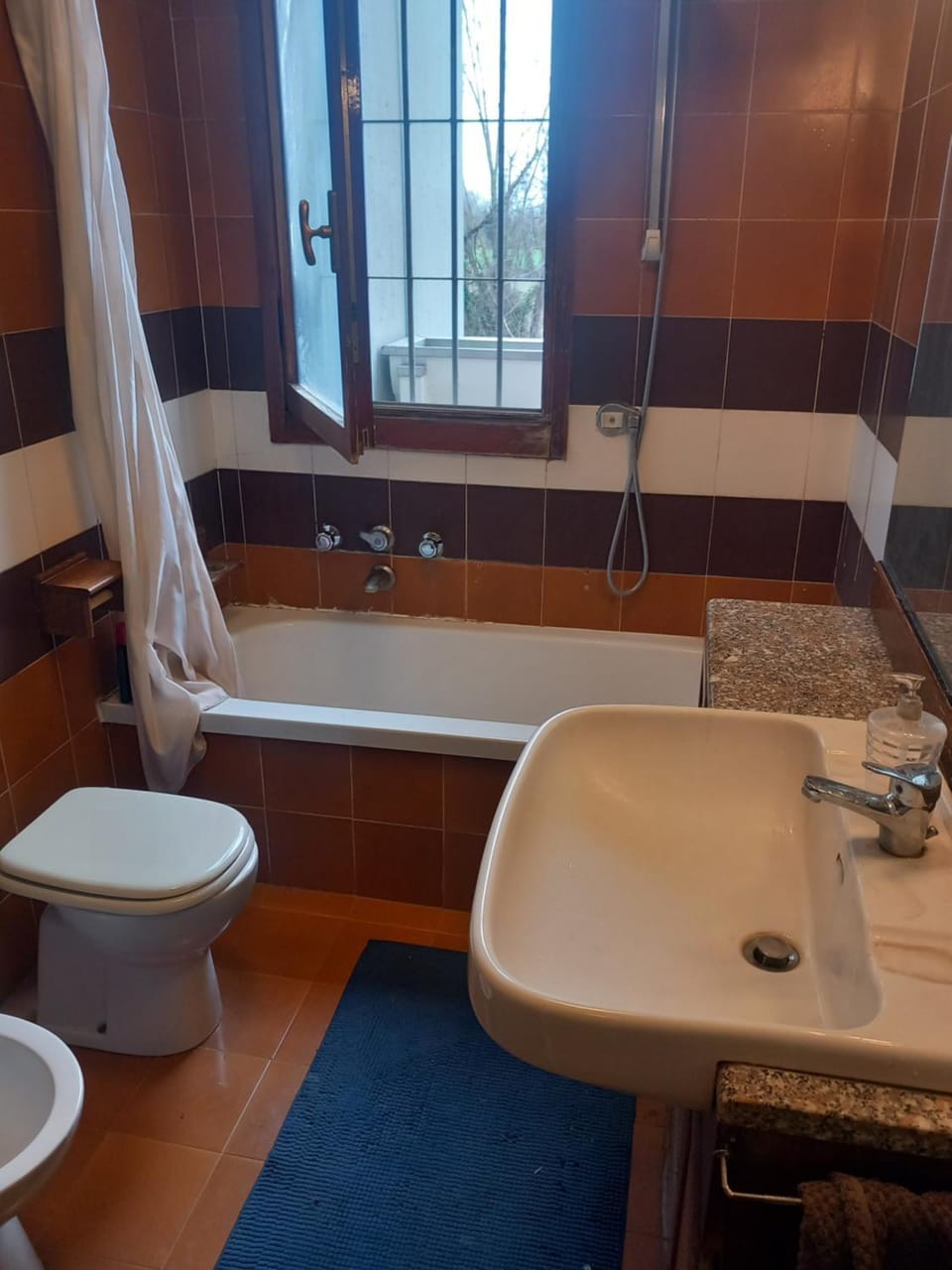 Shower, Toilet, Bathroom, Bath, bidet