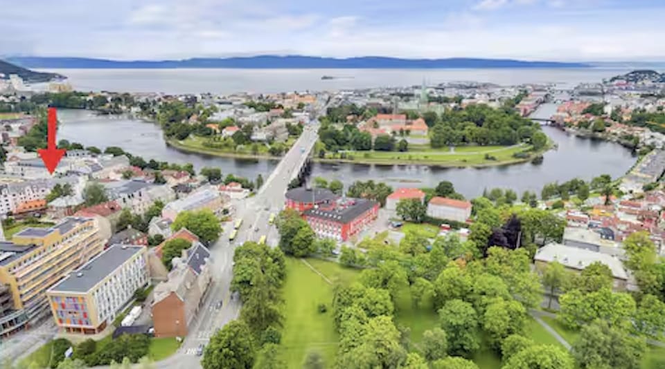 Neighbourhood, Natural landscape, Bird's eye view, City view