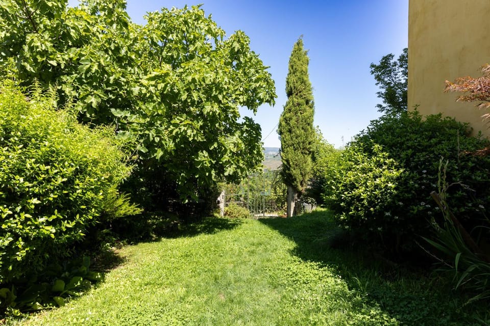 Natural landscape, Garden, Garden, Balcony/Terrace, Garden view