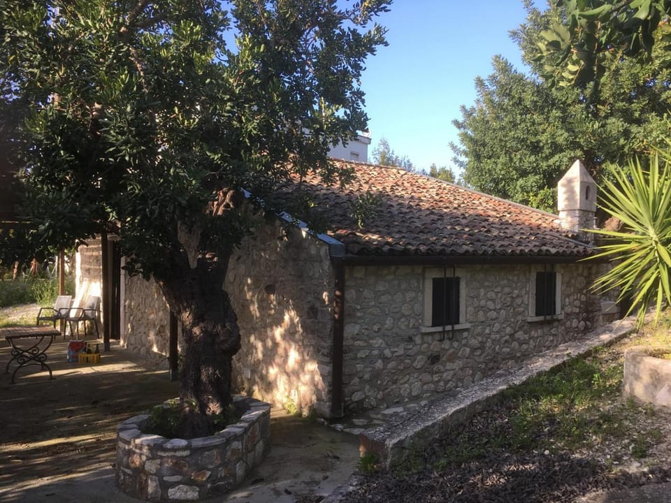 Property building, Property building