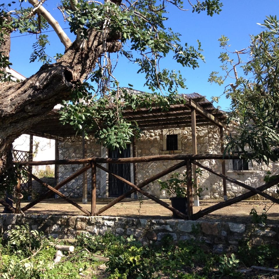 Property building, Garden view