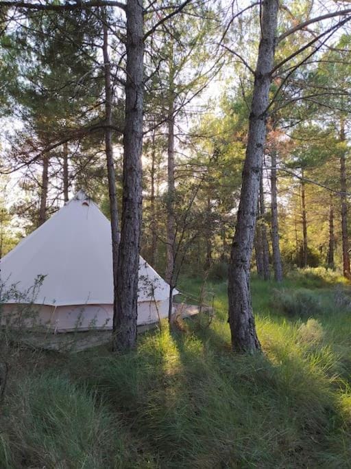 Forest Days Luxury tent in Berguedà