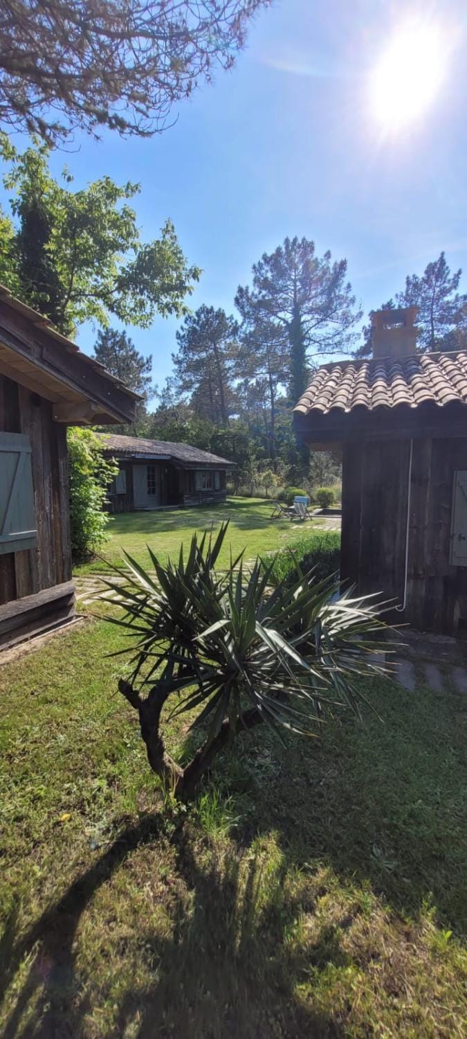 4 Cabanes de luxe privatisées à 500m de la Dune Villa in La Teste-de-Buch